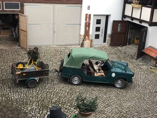 FOTOCHALLENGE 70 - Dein Hund im Auto-Beitrag-Bild