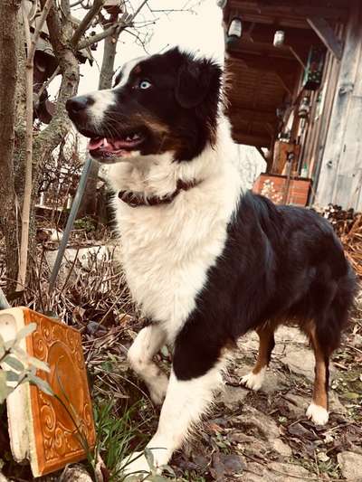 Lieblings Fotos-Beitrag-Bild