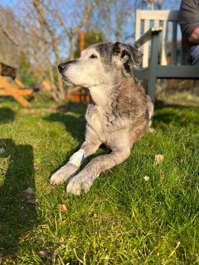 Bardino-Beitrag-Bild