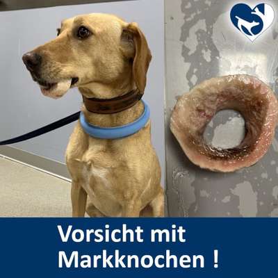 Zahnstein auf natürliche Art entfernen-Beitrag-Bild