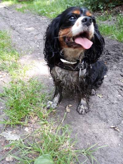 Zeigt mir doch mal eure Dreckspätze-Beitrag-Bild