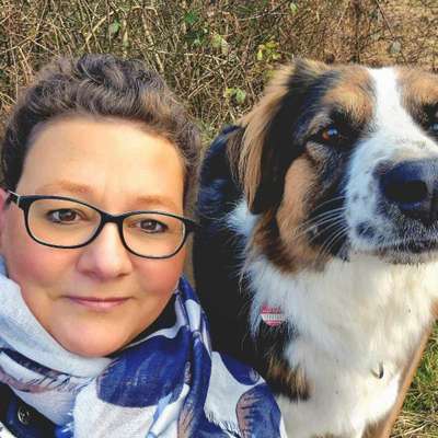 Hundetreffen-Treffen zur Hunderunde