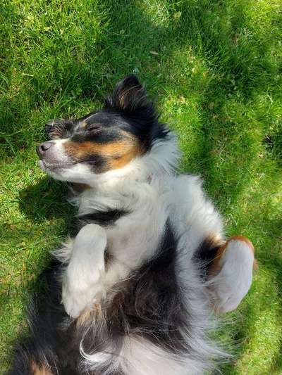 Fotowettbewerb Natur-Beitrag-Bild