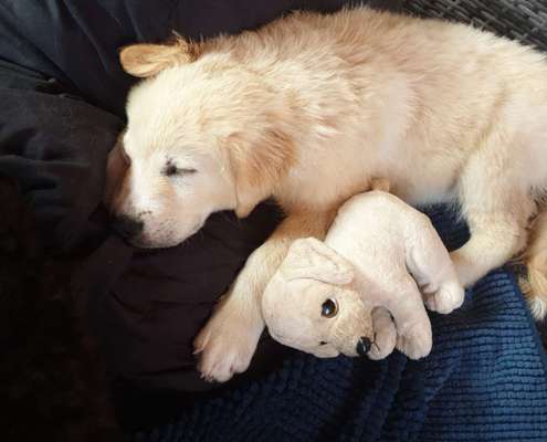 Erstes Bild-Beitrag-Bild