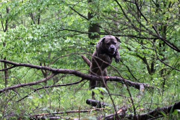 Fotochallenge Nr. 52 „Spring!“-Beitrag-Bild