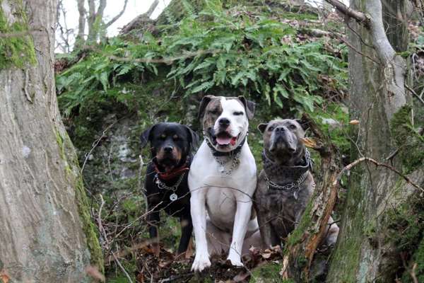 Fotochallenge Nr. 67: Euer Lieblingsbild-Beitrag-Bild