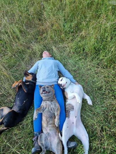 36. Handy Foto Challenge - Sonnenanbeter-Beitrag-Bild