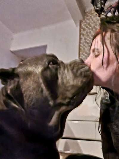 Dogorama Photo Challenge - Be my valentine-Beitrag-Bild