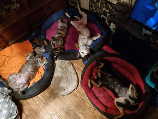 Foto Challenge - Zeigt her eure Bäuche-Beitrag-Bild