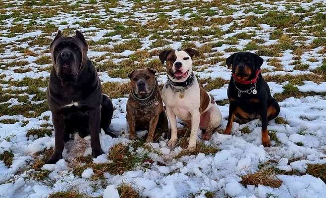 Fotochallenge 69-Beitrag-Bild