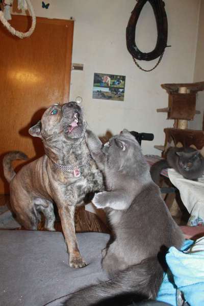 Her mit dem Grimassen-Beitrag-Bild