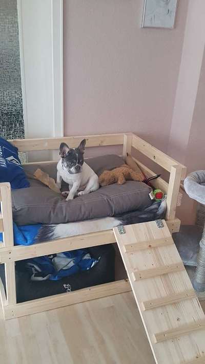 Selbst gemachte Hundebetten-Beitrag-Bild