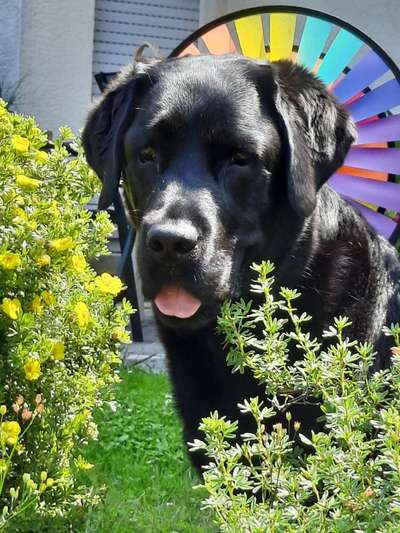 Fotochallange Nr. 57     PORTRÄT.   Beendet!!!!!!!!-Beitrag-Bild