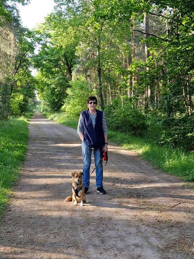 Unsere Fellnasen-Vielfalt im Überblick!-Beitrag-Bild