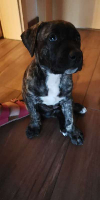 Foto Challenge 3-Beitrag-Bild