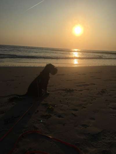 Sonnenaufgänge oder - untergänge-Beitrag-Bild