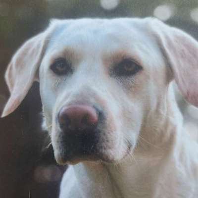 Tom's Profilbild