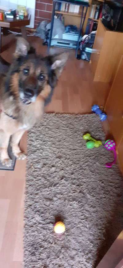 Fotochallenge 113: Auf frsicher Tat ertappt-Beitrag-Bild