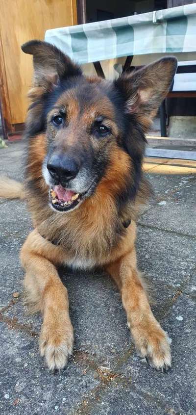 Doppelgänger gesucht !-Beitrag-Bild