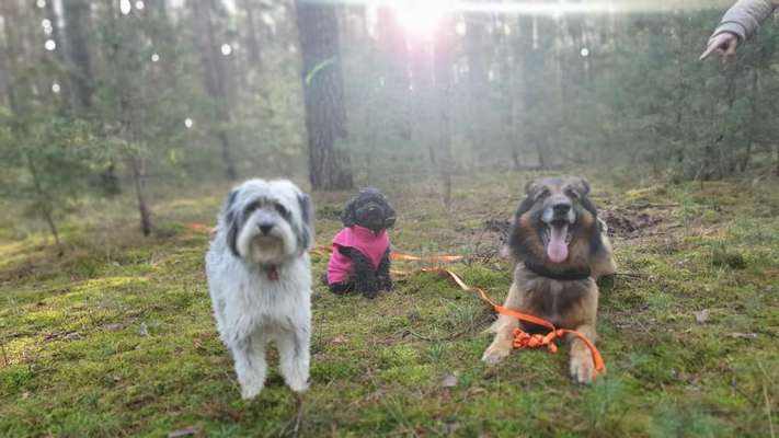 Foto Challenge Nr.: 115-Beitrag-Bild