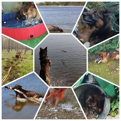 20. Collagen Challenge - "Lustige Schnappschüsse"-Beitrag-Bild