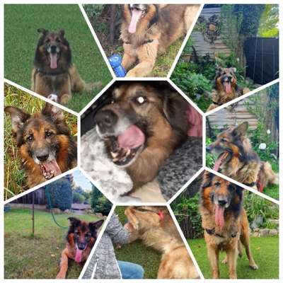 18. Collagen Challenge - Zunge raus!-Beitrag-Bild