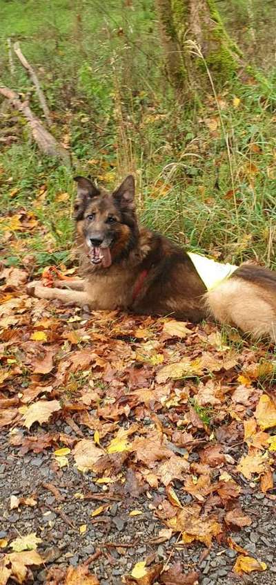 Doppelgänger gesucht !-Beitrag-Bild