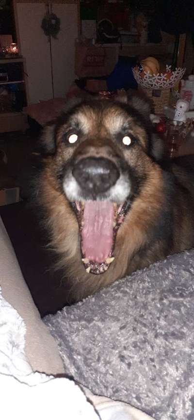 26. Handy Foto Challenge-Beitrag-Bild