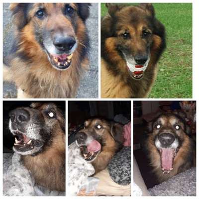 26. Collagen Challenge- Zeigt her eure Zähne-Beitrag-Bild