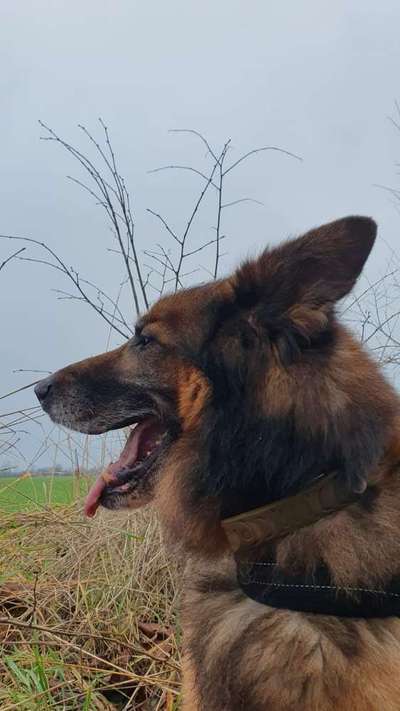 118. Fotochallange-Beitrag-Bild