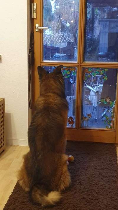 120. Fotochallenge-Beitrag-Bild