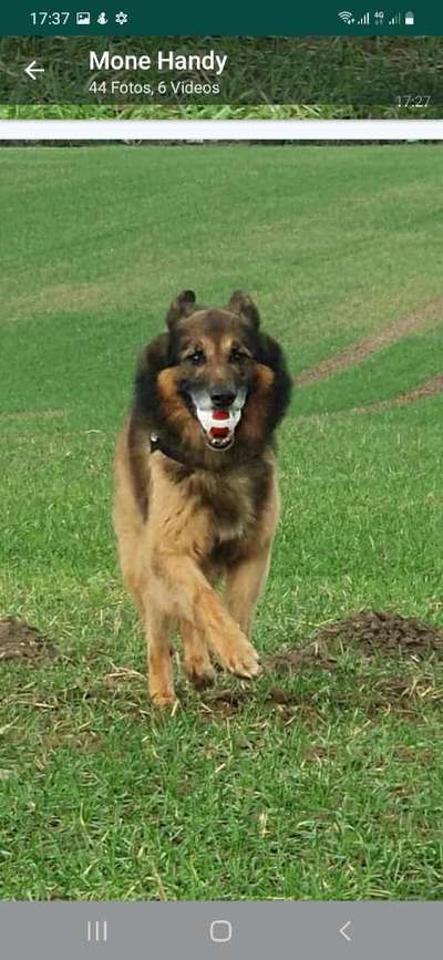 Dogorama Photo Challenge - Rund-Beitrag-Bild