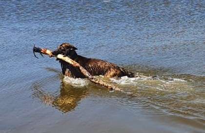 27. Handy Fotochallenge-Beitrag-Bild