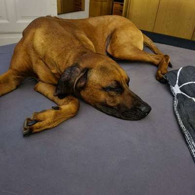 Relaxen im bett-Beitrag-Bild