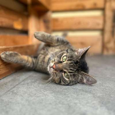 %{de_profession_title}-Hausbesuch-Bild