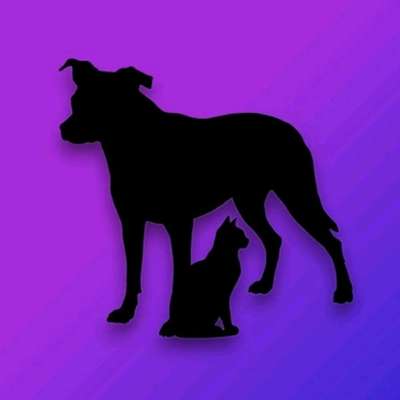 Hundepensionen-Pfotenparadies-Bild