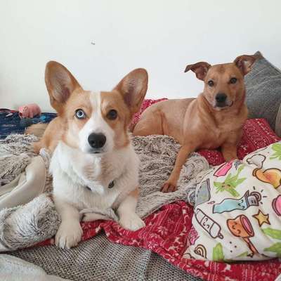 %{de_profession_title}-Tagesbetreuung-Bild