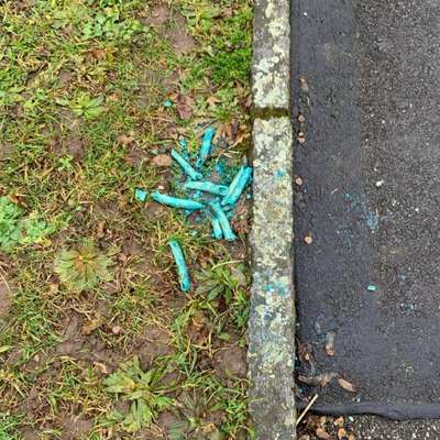 Giftköder-Giftköder Suspekt-Bild