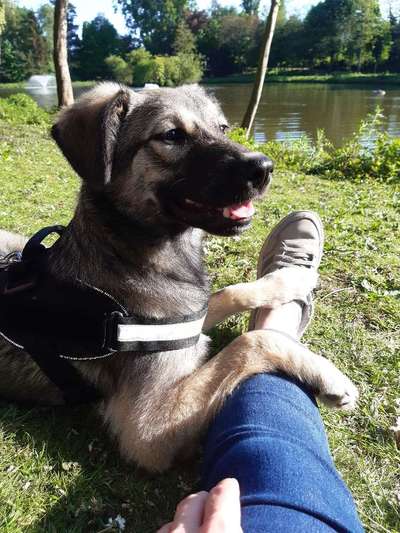 Lieblings Fotos-Beitrag-Bild