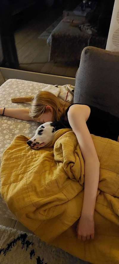 Fotochallenge Nr. 62 Romantische Momente-Beitrag-Bild