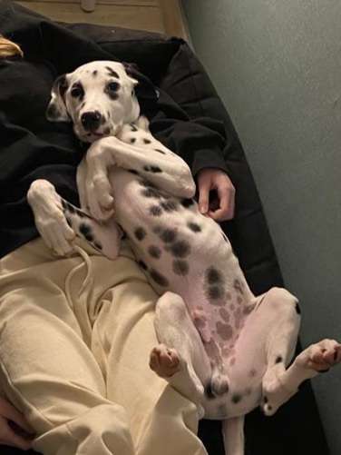 Fotochallenge Nr.65-Beitrag-Bild