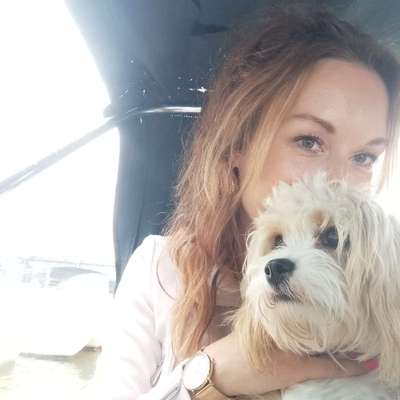 Hundetreffen-Gassirunde/Spielrunde