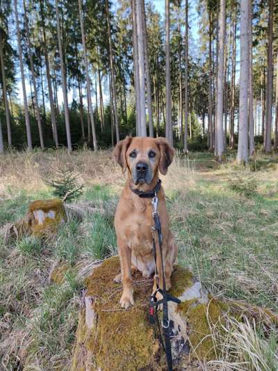 Fotowettbewerb Natur-Beitrag-Bild