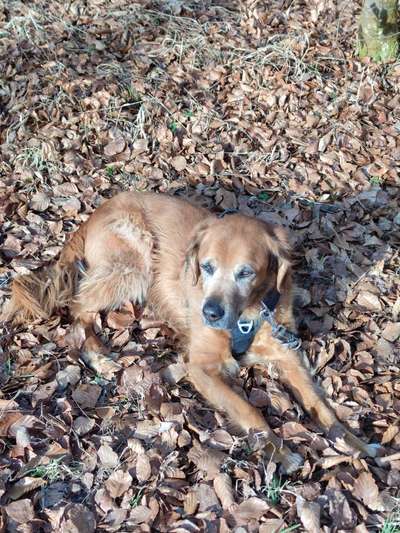 Ton in Ton-Beitrag-Bild