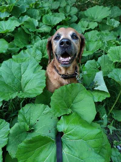 Theos  Fotochallenge Nummer 2-Beitrag-Bild