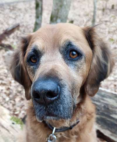 Fotochallange Nr. 57     PORTRÄT.   Beendet!!!!!!!!-Beitrag-Bild