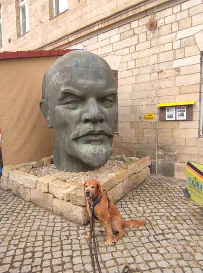 82. Foto Challenge: Skulptur/ Denkmal-Beitrag-Bild