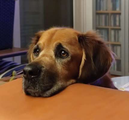 Lieblingsbild :D-Beitrag-Bild