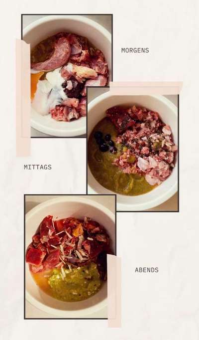 Zeigt her Eure Futternäpfe-Beitrag-Bild