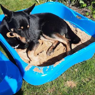 4. Lustiger Schlafplatz-Beitrag-Bild